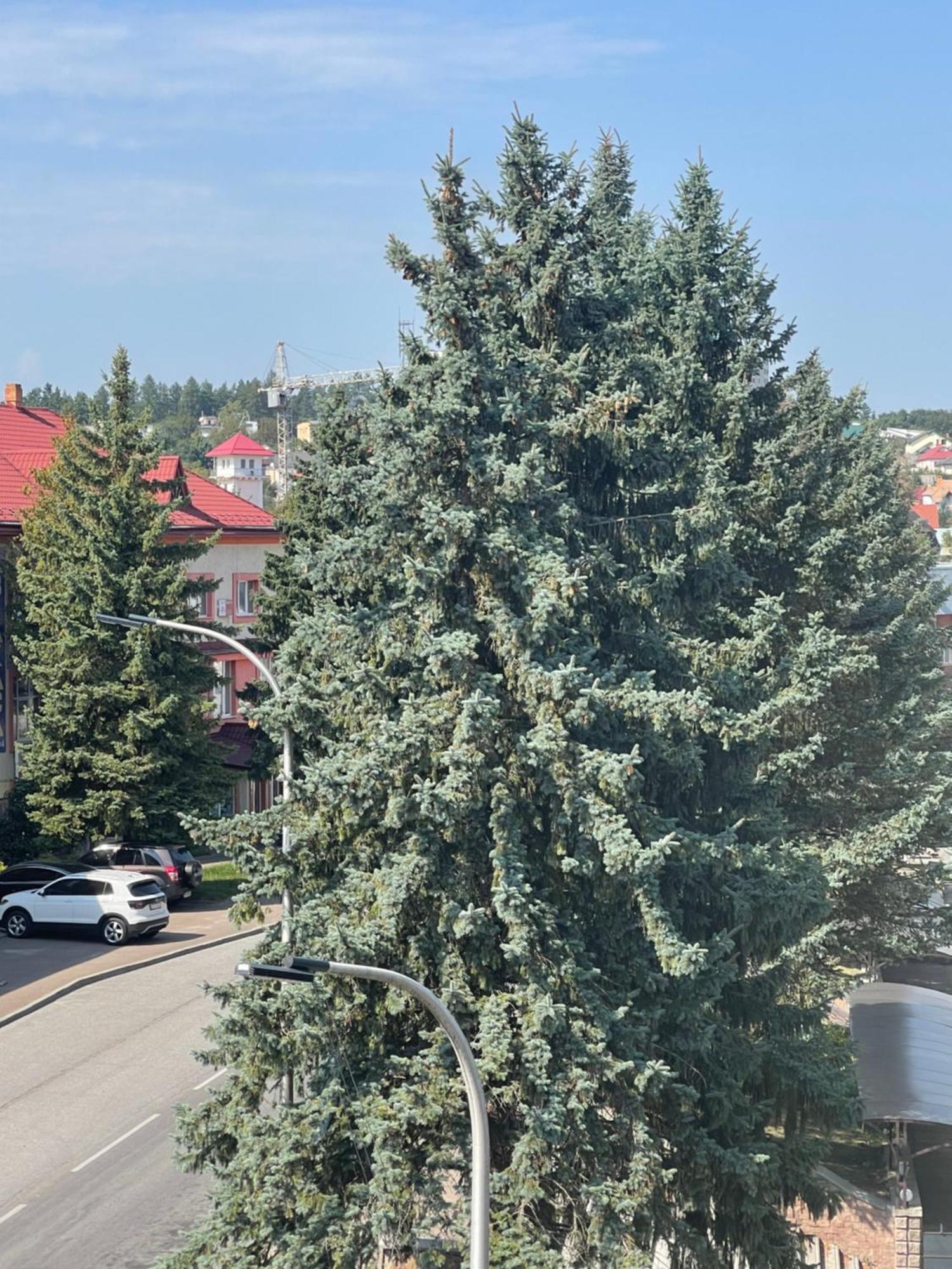 Hotel Villa Sofia Truskavets Eksteriør bilde